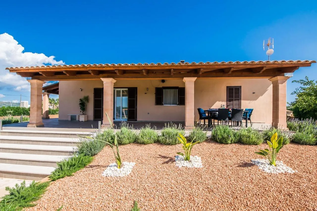 Ideal Property Mallorca - Villa Del Nord Sa Pobla Lantställe